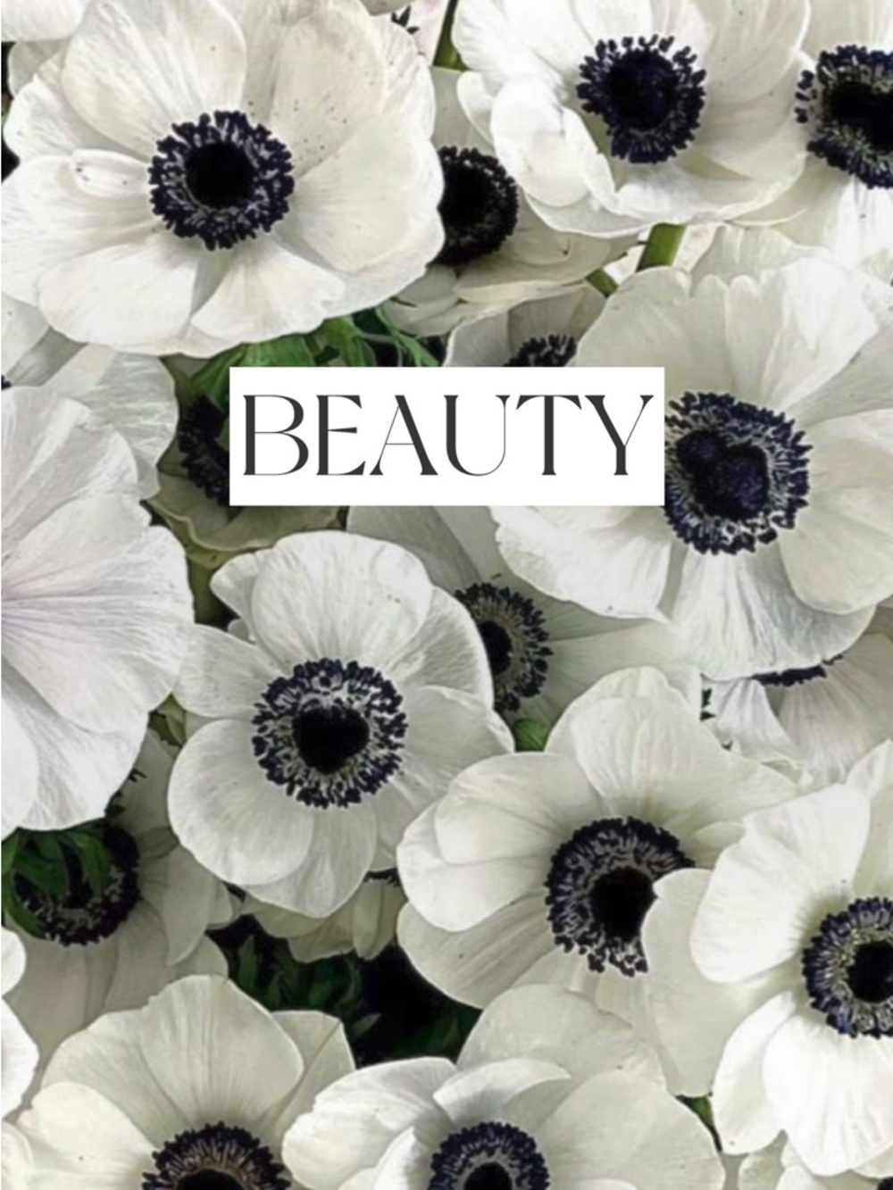Beauty products